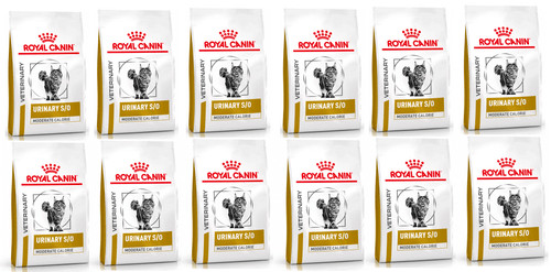 ROYAL CANIN Cat urinary calorie Nassfutter