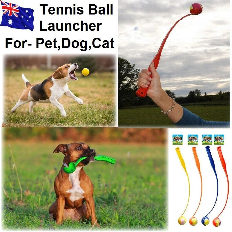 Tennis ball hotsell stick dog toy
