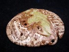 Old Nephrite Jade Stone Carved Sculpture Ancient Warrior Face Mask #06212501 — photo 4