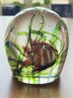 Murano Glass Aquarium Paperweight Large Fish Seaweed Riccardo Licata