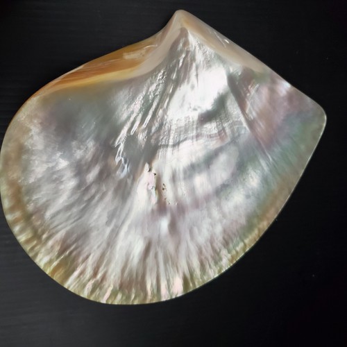 12 Piece Set Mother Of Pearl Caviar Plates Dishes Forks Spoons Knives - 8" plate - Picture 12 of 24