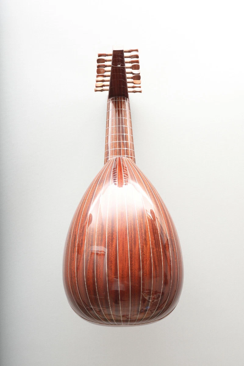 Renaissance lute for online sale