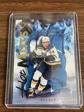 2025-26 Flair Hockey Dalibor Dvorsky Hot Mitts 