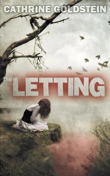 The Letting | Cathrine Go*Dstein | Taschenbuch | Kartoniert / Broschiert | 2014-image