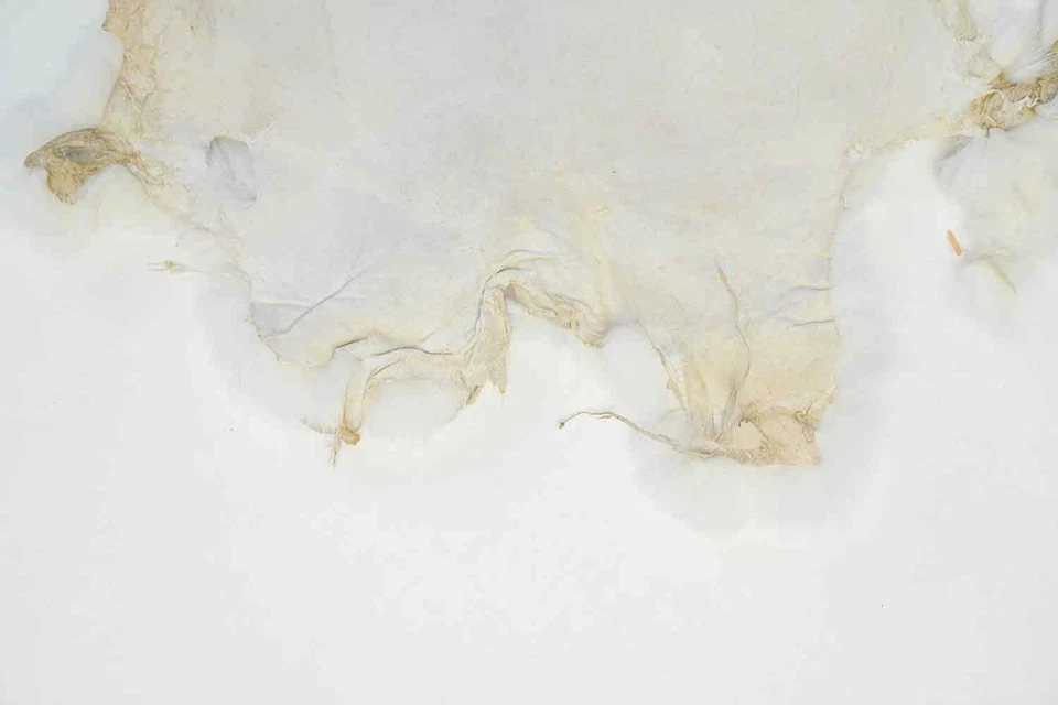 Springfield Leather Single Genuine White Rabbit Pelts Ideal for Projects & Trim - Image 4 of 4