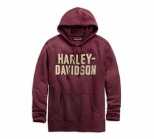 Harley-Davidson Men's Felt Lettering Pullover Hoodie - 99180-19VM