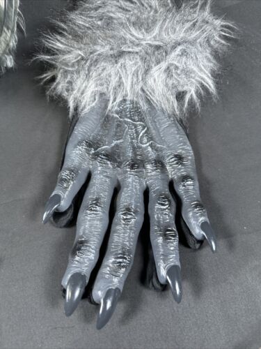 ✨California Costume Grey Lycan Werewolf Adult Mask W/hands, Gloves✨ - Picture 2 of 12
