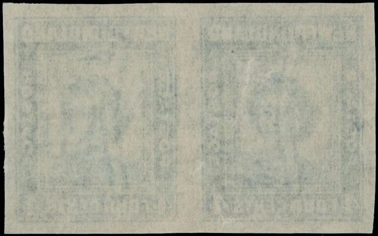 1947 Terranova Princesa Isabel Cumpleaños 4C, Horizon Imperf Par, NH UN. #269a Foto 2 de 2