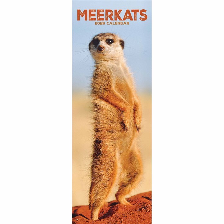 Calendario Slim Meerkats Otter House Mese Da Vedere 2026