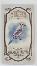 2021 Topps Allen & Ginter's Mini Mascots IRL Blue Jay #MMI-17 0o6v