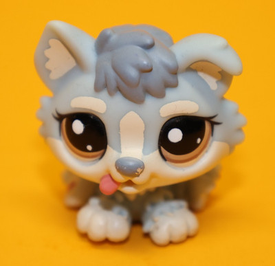 Hasbro Littlest Pet Shop Figur  Cat 1683