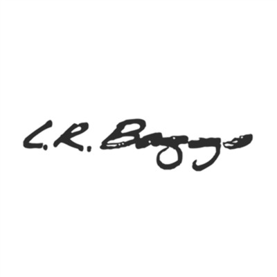 LR Baggs Strap Jack & Cable M1/Hymne