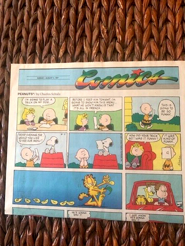 Aug 3, 1997 THE SUNDAY PRESS Tribune COLOR COMICS - PEANUTS - GARFIELD Etc. - Picture 2 of 4