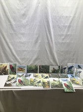 Lot Of 29 Greeting Cards With Envelopes Variety Of Birds Made USA 1995 1999-2002