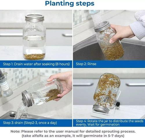 Sprossenglas Keimglas 2er Set Sprouting jar Keimgläser für Sprossen 750ml 21,8cm - Bild 5 von 7