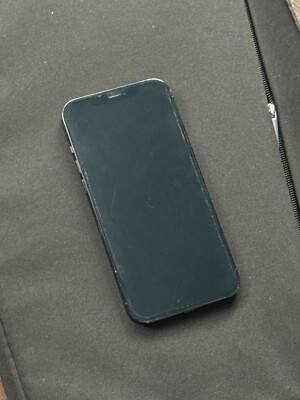Apple iPhone 12 Pro Max - 256 GB - Blue (Unlocked) CapCut & TikTok 