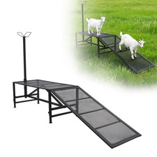 Livestock Stand Goat Milking Trimming Stand W/Ramp Adjust Height Nose Loop