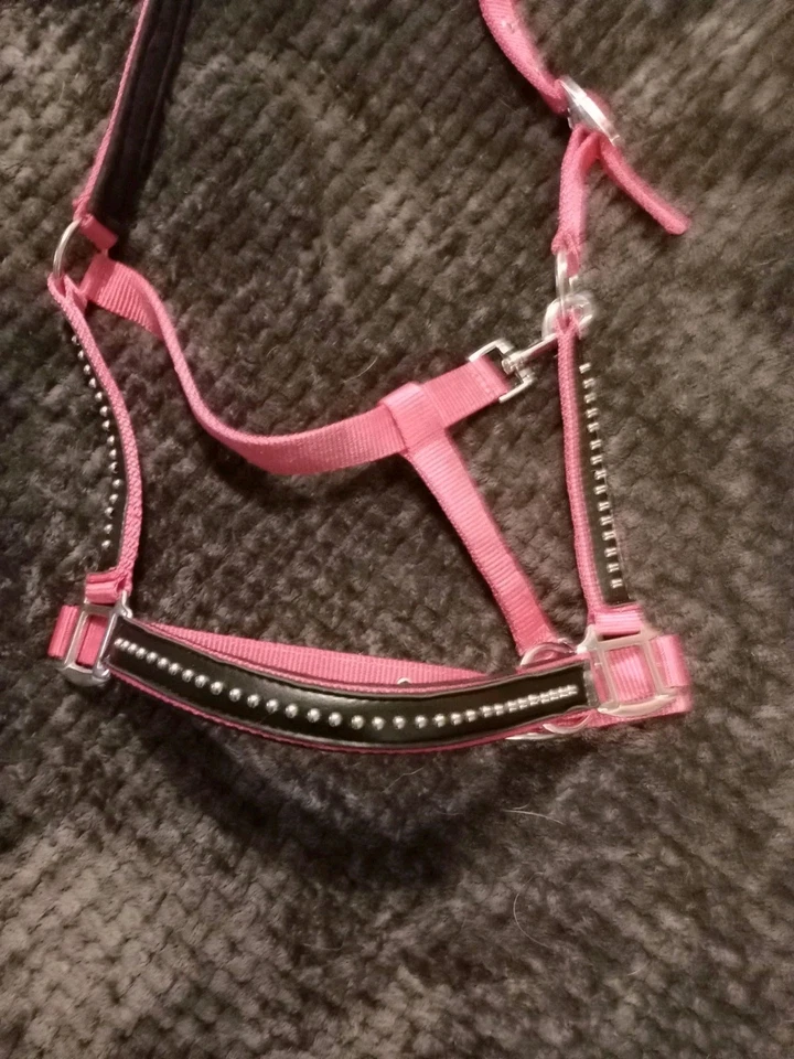 Nuevo con defectos sin etiquetas, Halter Nylon Rosa con tachuelas Negras y Plateadas, Caballo Completo Foto 2 de 4