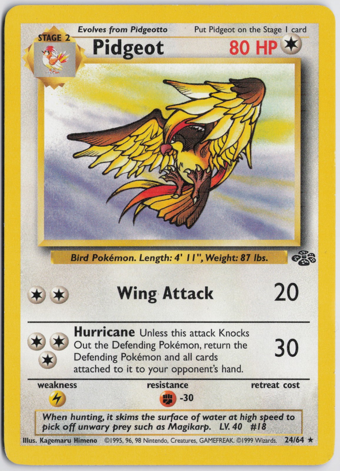 Pidgeot (24) Rare Jungle 24/64 NM