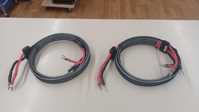 Wireworld Silver Eclipse6 Lautsprecherkabel