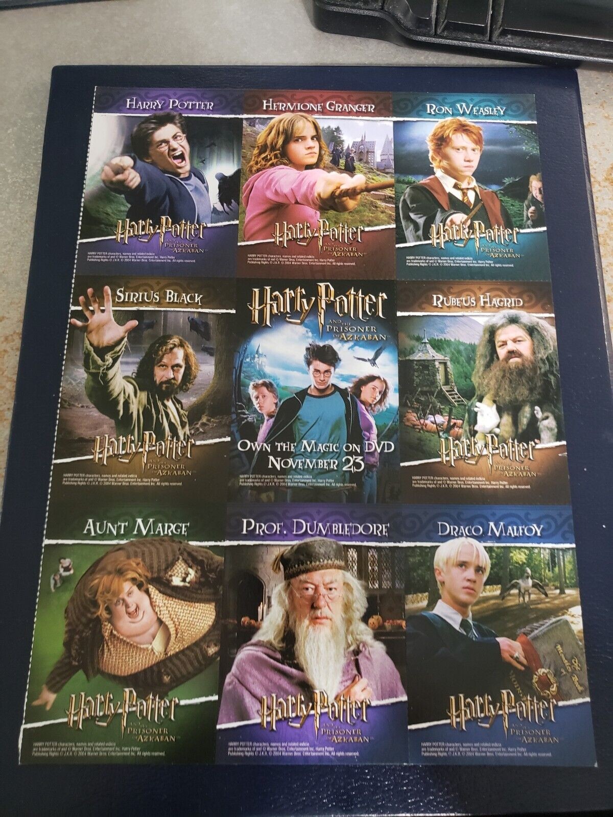 Harry Potter Hermione Granger Sirius Black Ron Weasley Rubeus Hagrid Dumbledore.