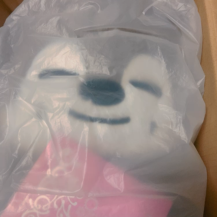 【正規品】SKZOOポップアップDESKTRASHBIN  WolfChan スキズ SKZOO ポップアップ ぬいぐるみ＆収納BOX【ウルフチャン】