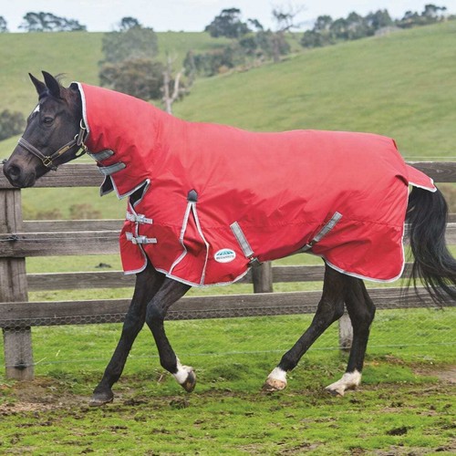Weatherbeeta ComFiTec Classic Combo Neck Heavy Turnout Rug - Picture 9 of 29