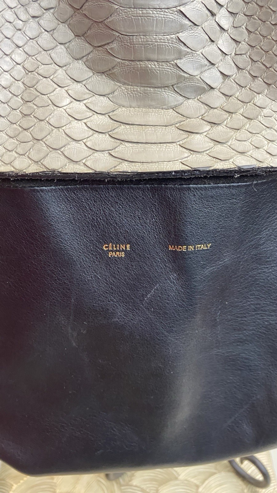 Celine All Soft Leather Python Bag - image 2
