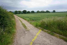 Photo A2 Wheat field and farm track near Drayton Manor Dunston/SJ9217 L c2015