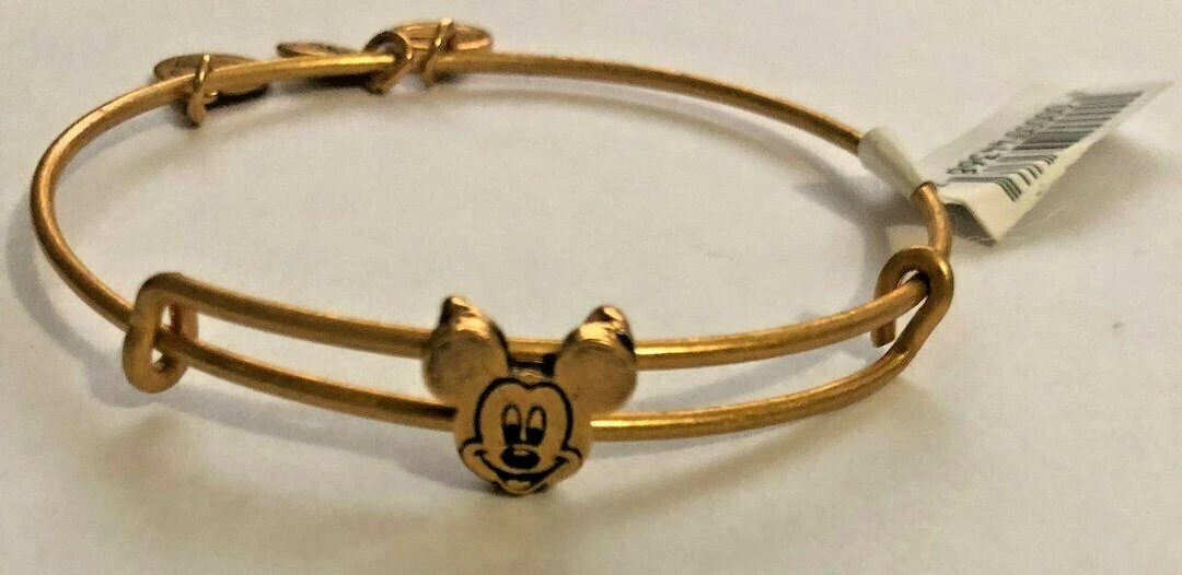 Alex and ani slider bracelet clearance