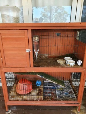 gumtree guinea pig hutch