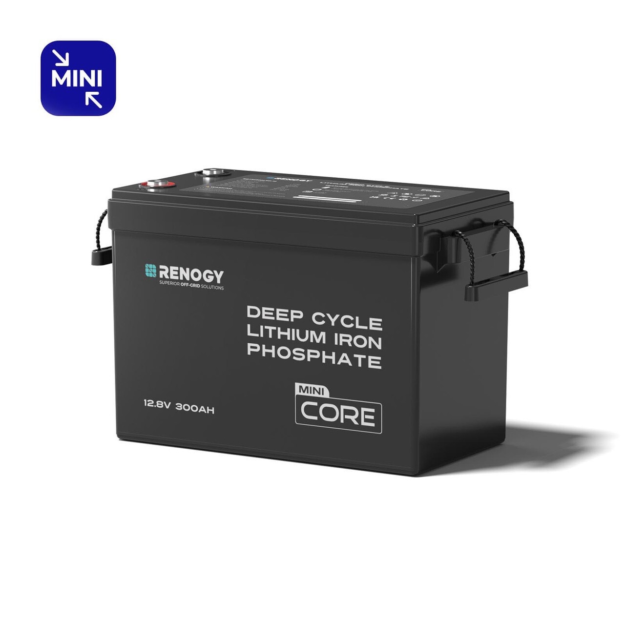 Renogy 12V 300Ah Core Mini Deep Cycle LiFePO4 Lithium Battery Backup Power IP65