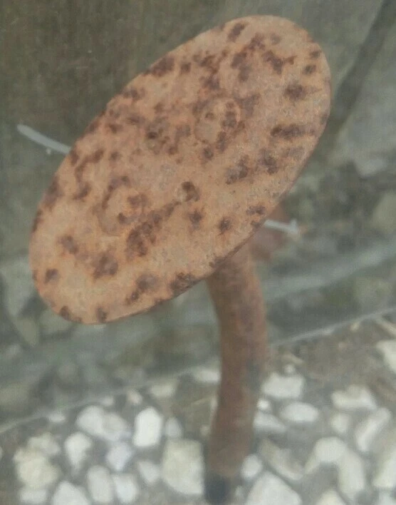 Pedal acelerador de gas Studebaker Commander 1938 Foto 2 de 4