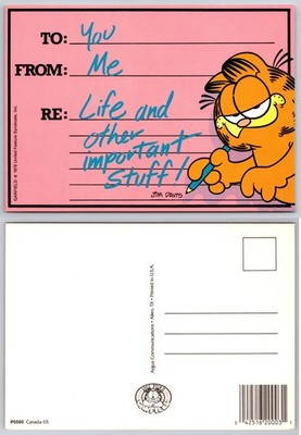 Continental Garfield Life Important Stuff Postcard
