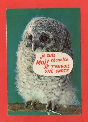 Je suis chouette moi! I send you a card (C5499)