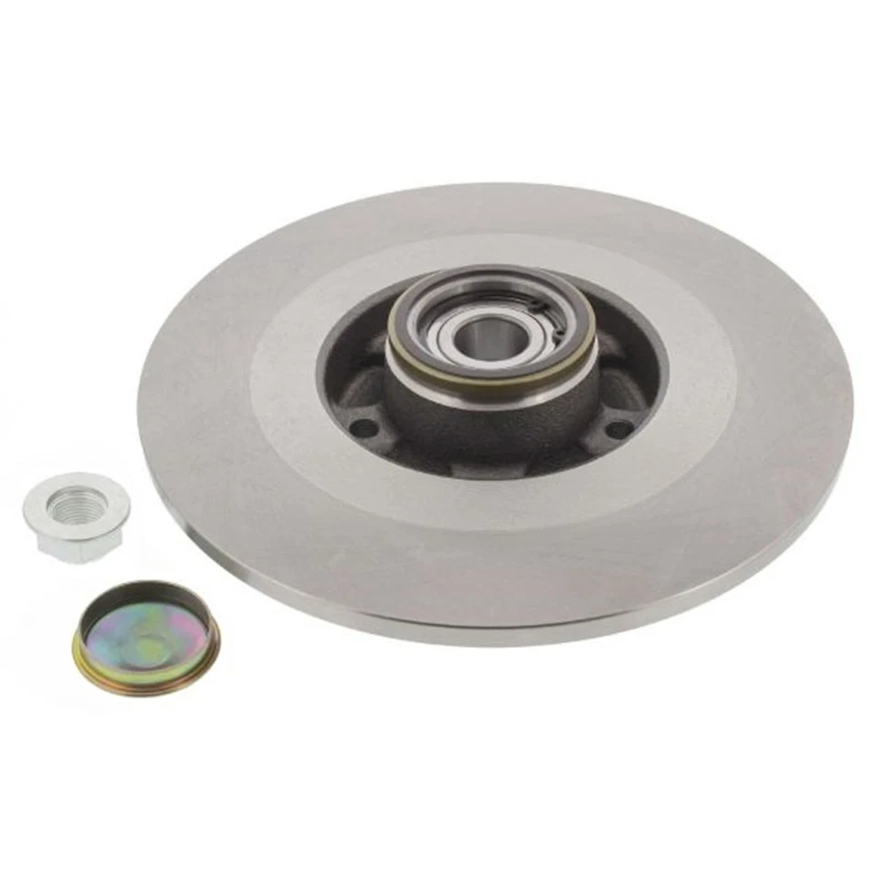 2x MAPCO Disques 300mm Plein Arrière Convient pour Renault Laguna Latitude 1 - Photo 4/4