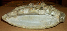ANTIQUE VINTAGE CHINESE HAND CARVED SOAPSTONE BRUSH POT, INKWELL, INCENSE BURNER — photo 10