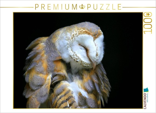 Calvendo Puzzle Birds Of Prey - Barn Owl | 1000 Pieces, Finished Size 25.2 × 18.-image