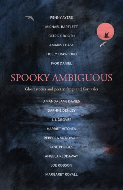 Spooky Ambiguous by Amanda Jane Davies (Paperback Book)