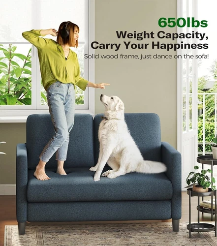 51" Teddy Velvet Sofa Zweisitzer Wohnzimmersofa Wohnzimmermöbel Doppelsofa DE - Bild 38 von 49