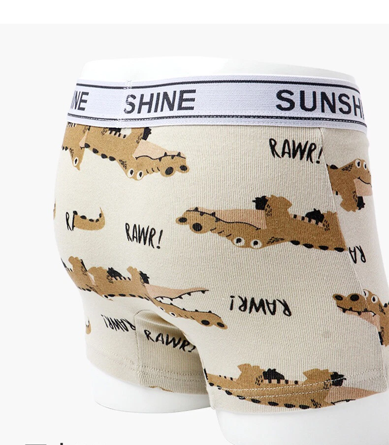 3 PIEZAS Calzoncillos boxer de algodón para niños pequeños Ropa interior de alta gama Isla de dinosaurios 2T-11T Foto 2 de 4