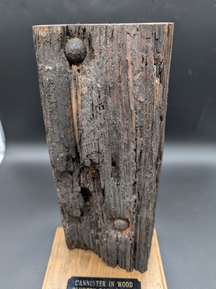 CIVIL WAR CANISTER SHOT STUCK IN TREE OLUSTEE BATTLEFIELD 1864 eBay