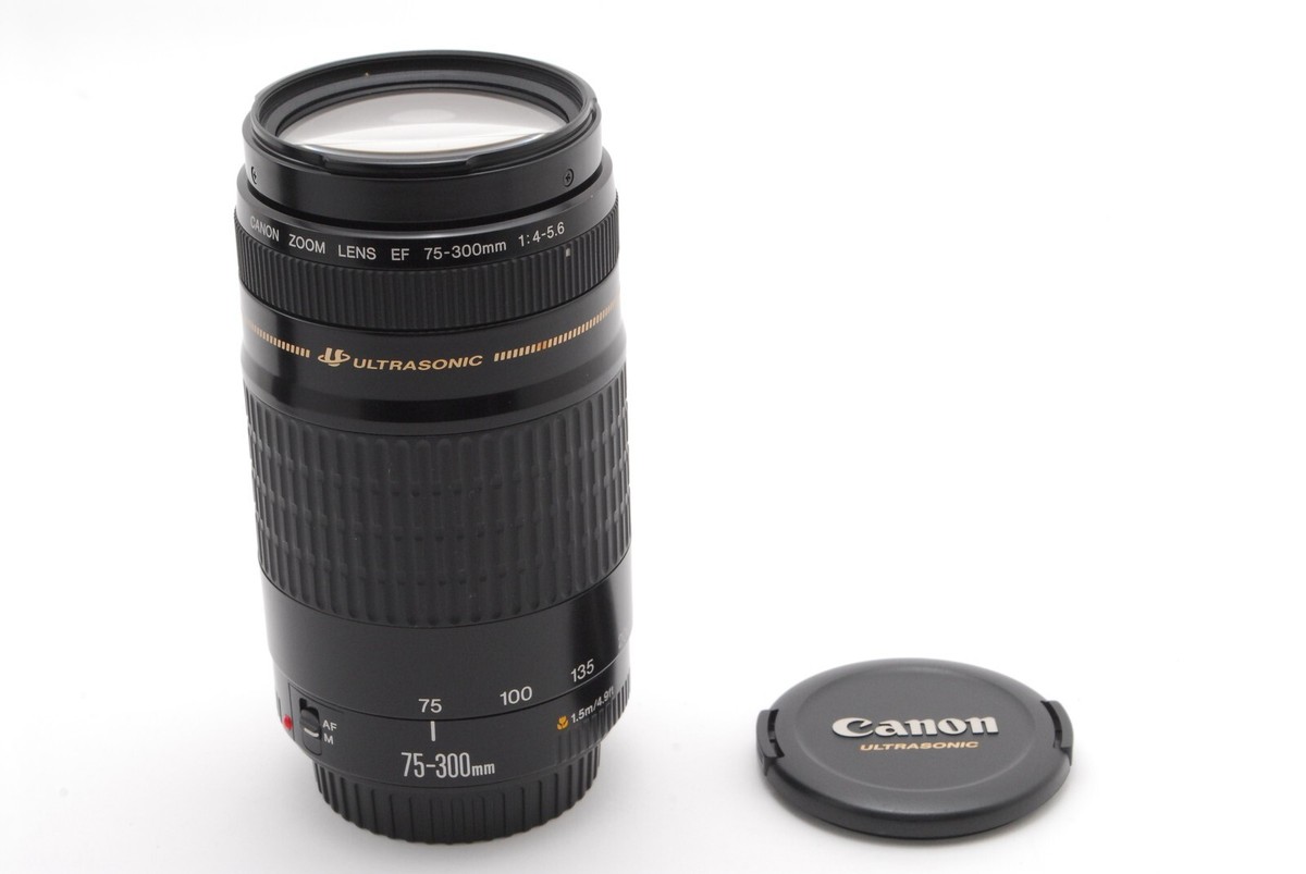 NEAR MINT] Canon Zoom Lens EF 75-300mm f4-5.6 Ultrasonic