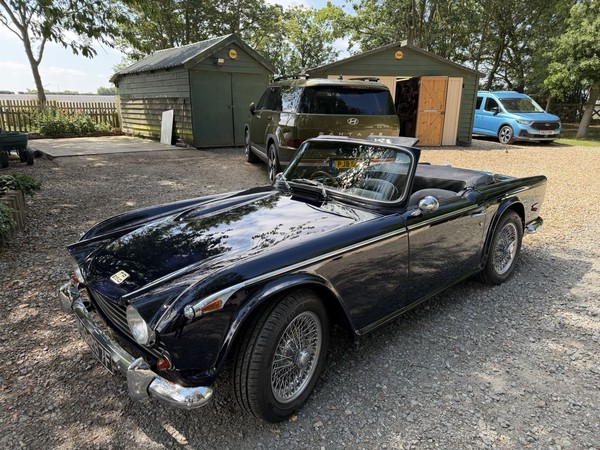 eBay - Triumph TR 250 1968