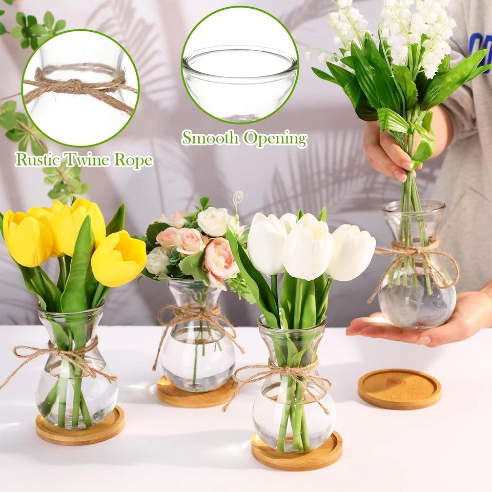 Bulb Glass Vases for Flowers Forcing Hyacinth Clear Decorative Bulb Vase - Image 3 of 4