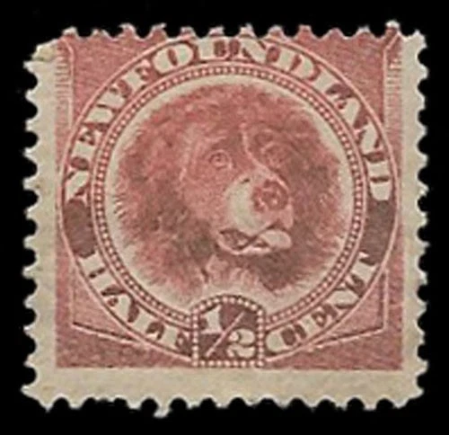 Canada-Newfoundland #56 and 58 — Original gum - Image 2 of 3