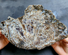 7,16 libras (3,25 kg) libras lapidarias, losa de ágata, losa lapidaria, ágata grande, ágata