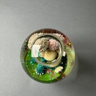 Bild 8 von 13