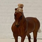 Foto 7 di 7