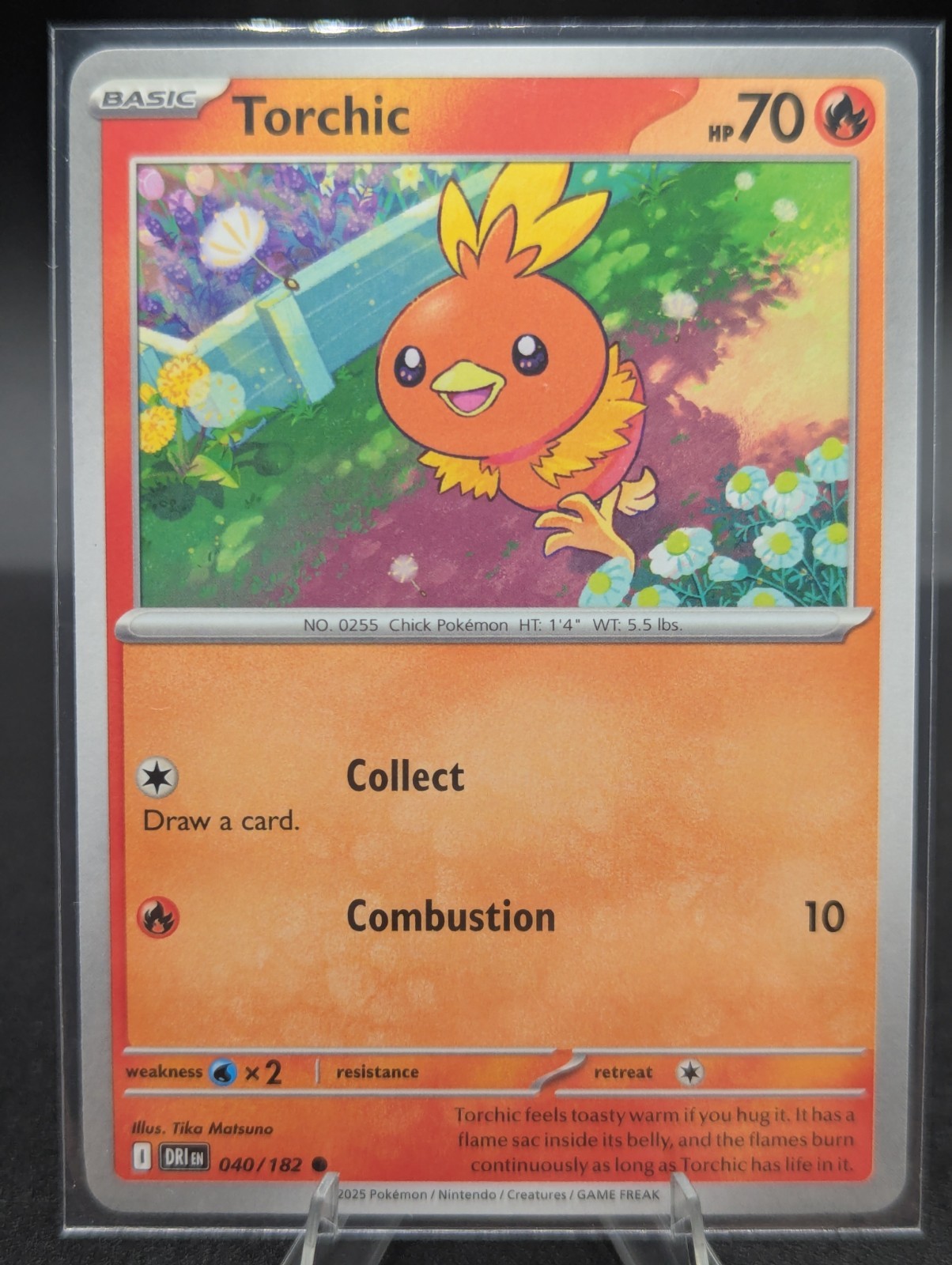 Pokemon TCG English Destined Rivals - Torchic - 040/182 NM In Hand